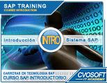 Curso Introducción a SAP