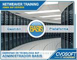 Carrera Administrador BASIS NETWEAVER
