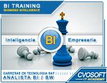 Carrera Analista SAP BI