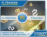 Carrera Consultor SAP FI