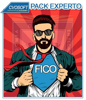 Experto en SAP FICO