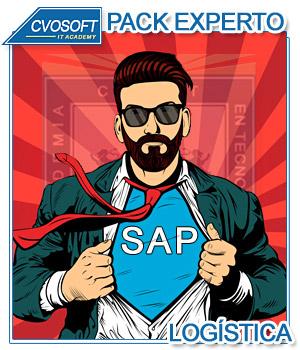 Experto en SAP Logística