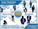 Carrera Consultor SAP HCM