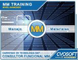 Carrera CONSULTOR SAP MM SENIOR