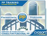 Carrera Consultor SAP PP