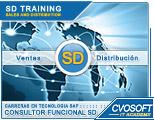 Carrera Consultor en SAP SD