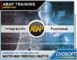 Master ABAP POO