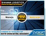 Máster en SAP S/4HANA LOGISTIC