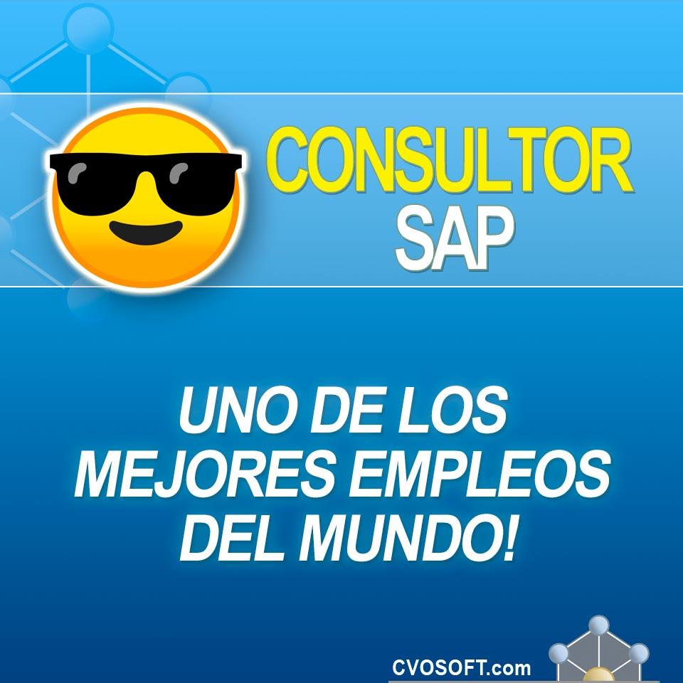Acceder a Nota Consultor SAP uno de los mejores empleos del mundo
