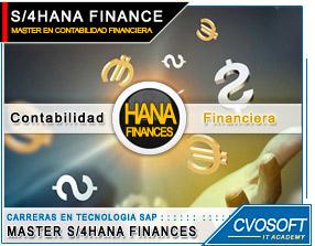 Master en SAP HANA Finances Accounting