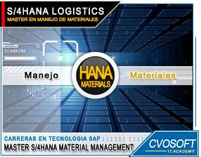 Master en SAP HANA Logistic