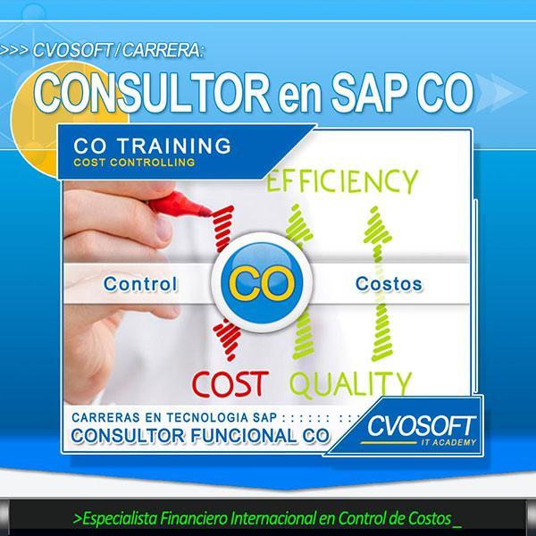 Consultor SENIOR en SAP CO