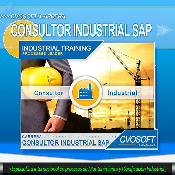 Consultor Industrial SAP