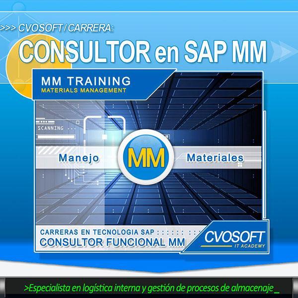 Consultor SENIOR en SAP MM