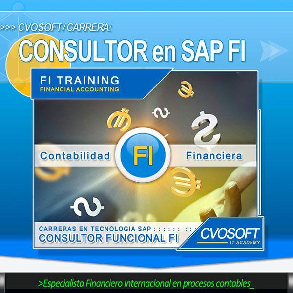 Consultor SENIOR en SAP FI