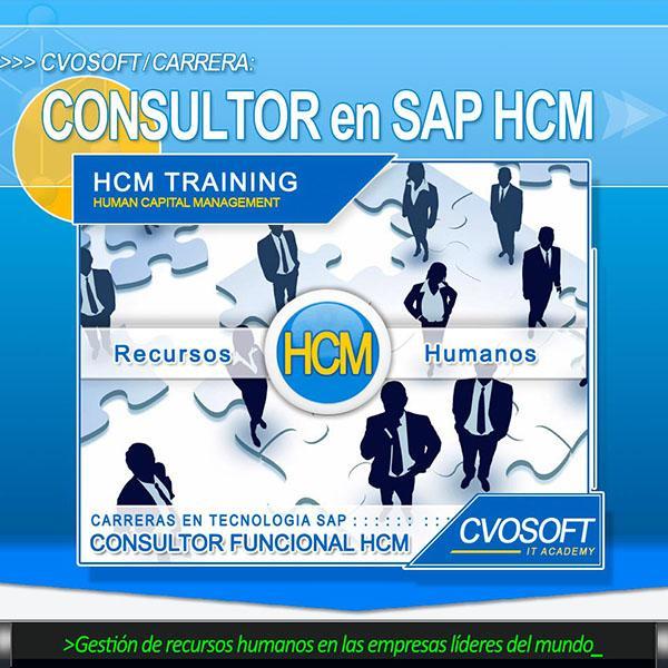 Carrera Consultor en SAP HCM